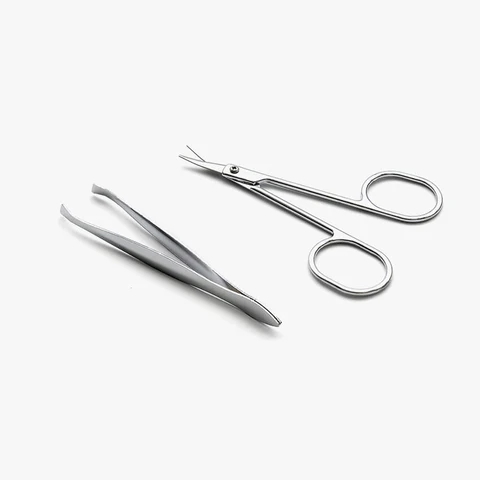 Operation Scissors