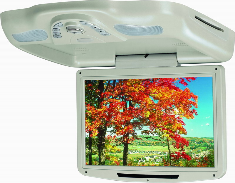 12 inch roof mount dvd 