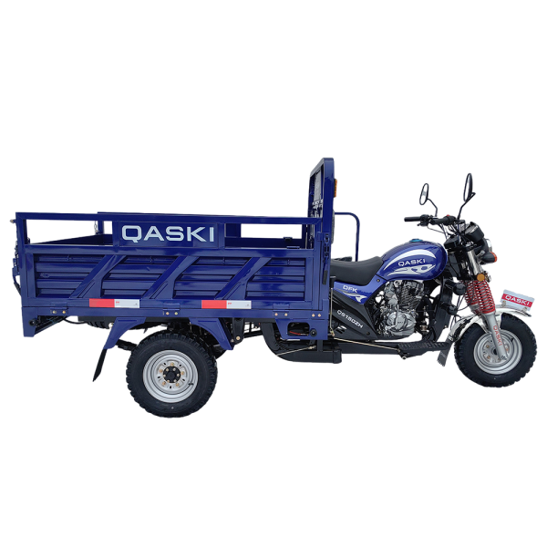 DFK QS150ZH