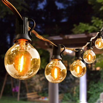 G40 50FT LED Globe String Lights 