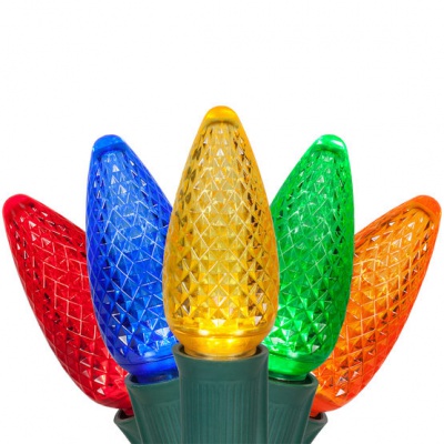 C9 25FT LED String Lights Multicolor
