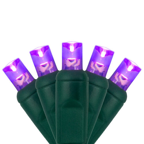 5mm Purple LED Christmas Lights