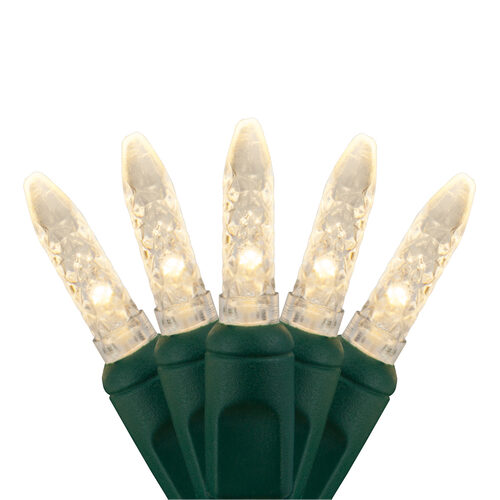 M5 Warm White LED Christmas Lights