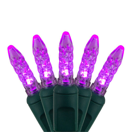 M5 Purple LED Christmas Lights