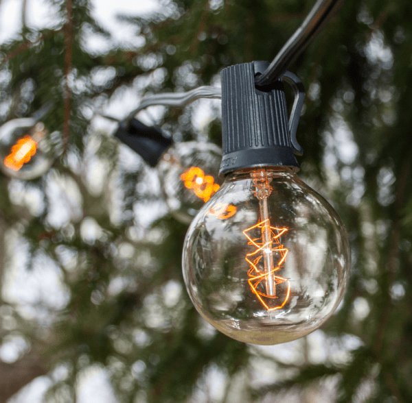 G50 Edison Globe String Lights