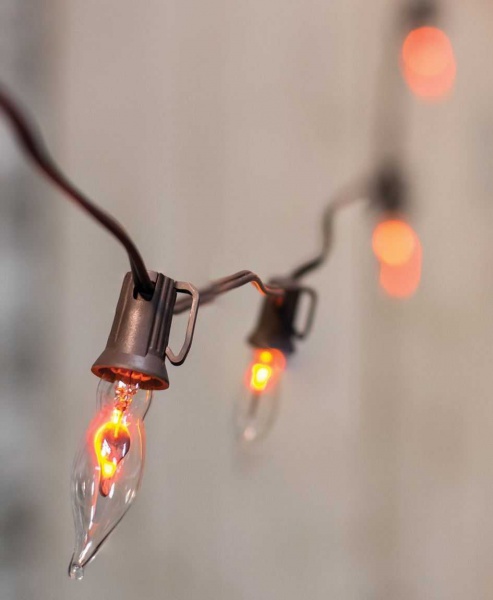 C18 Flickeing Halloween String Lights