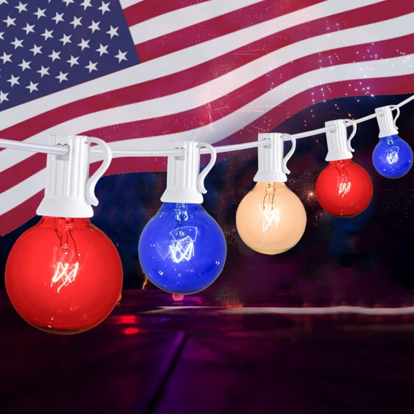 G40 25FT Incandescent Globe String Lights-Multi