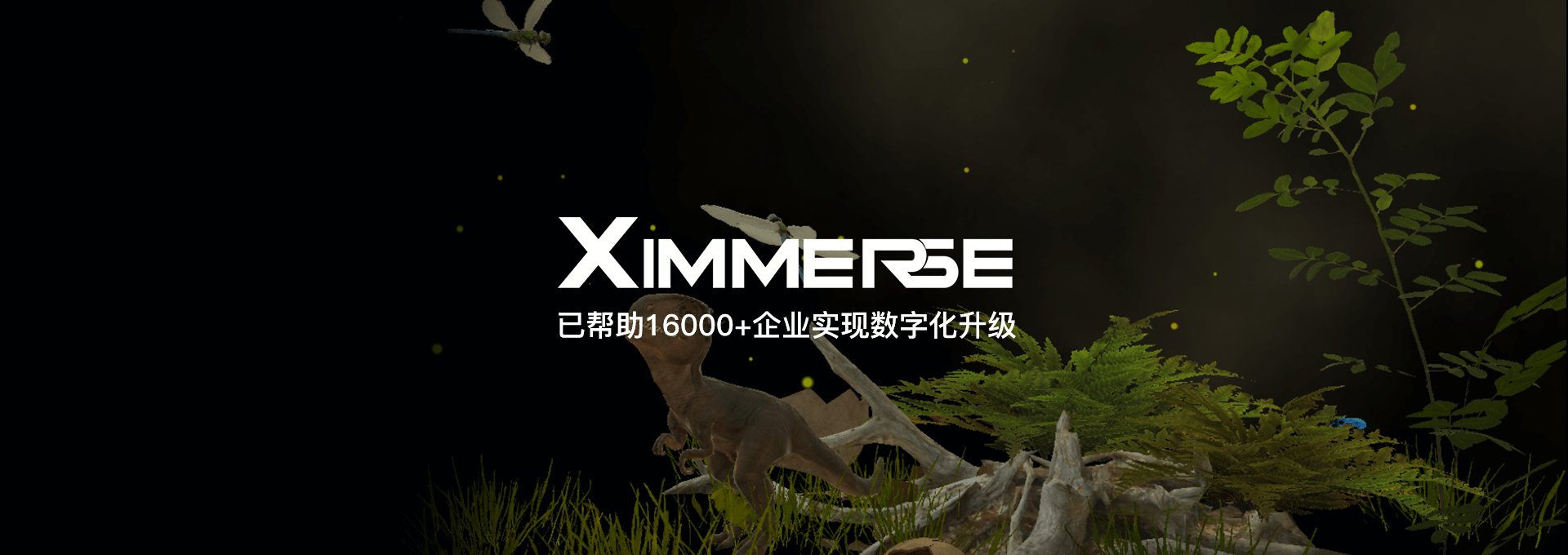 图片展示
