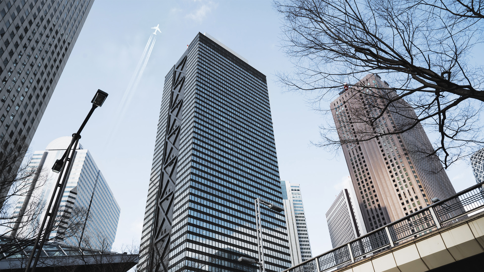 图片展示