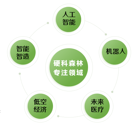 图片展示