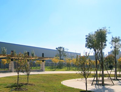 图片展示
