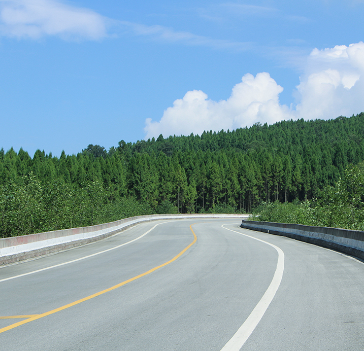 construction sealant for concrete pavement