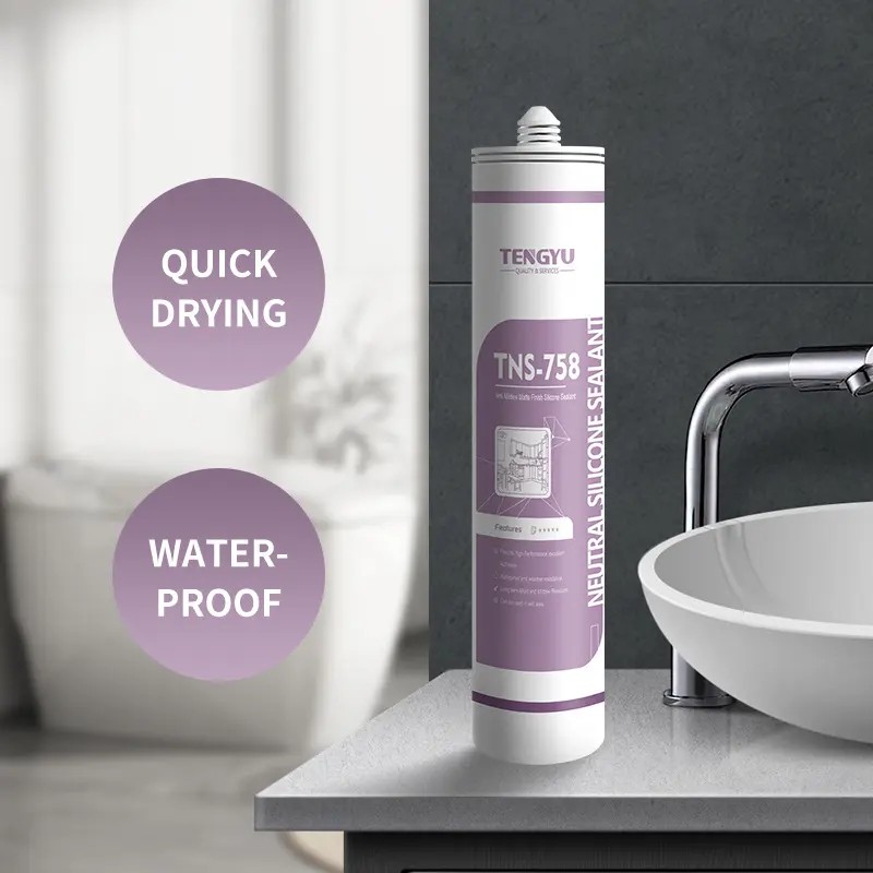 TNS-758 Anti-Mildew Matte Finish Silicone 
