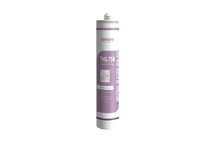 TNS-758 Anti-Mildew Matte Finish Silicone 