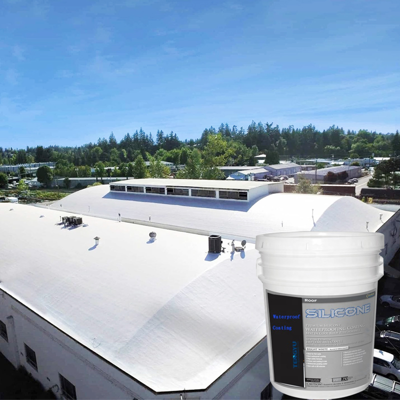 TW320 100% Silicone Waterproof Coating 