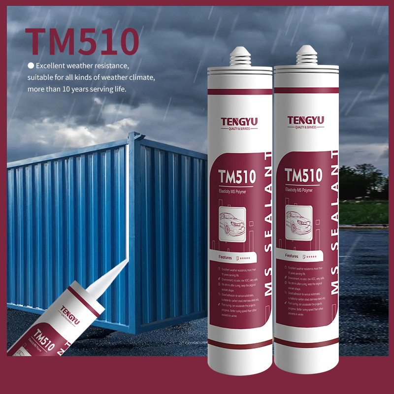 TM510 Elastic Silicone Modified Polymers