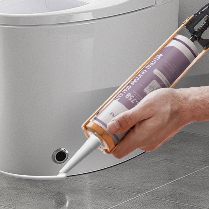 TNS-758 Anti-Mildew Matte Finish Silicone 