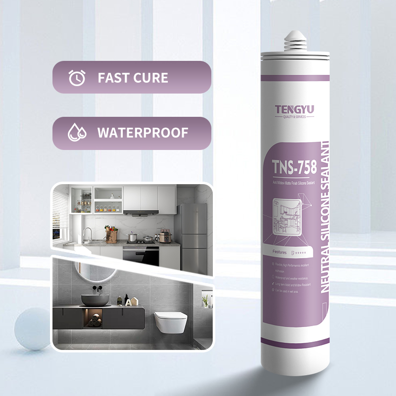 TNS-758 Anti-Mildew Matte Finish Silicone 