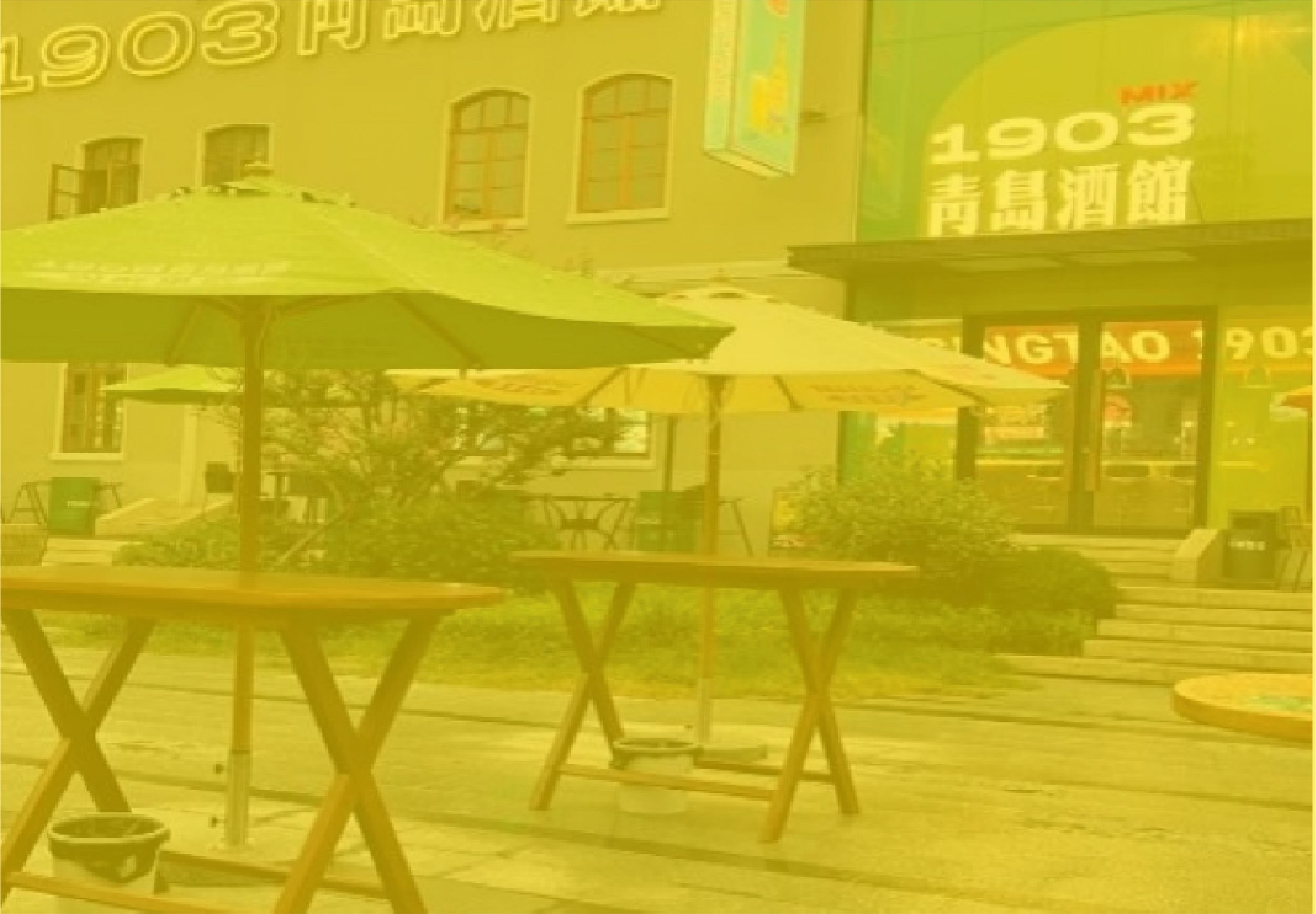 图片展示