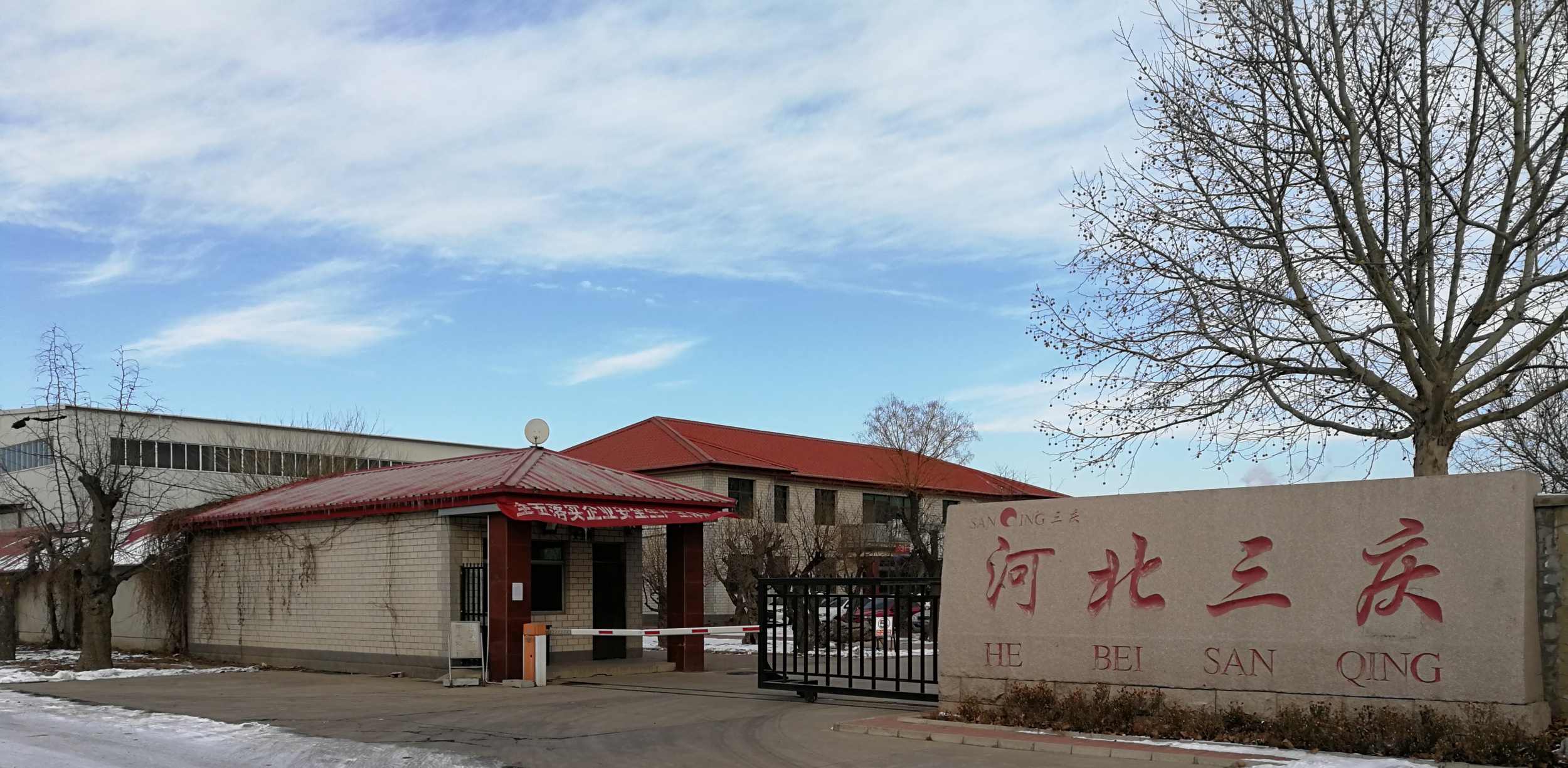 图片展示