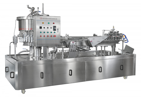 Ice lolly Filling & Sealing Machine-Full Auto