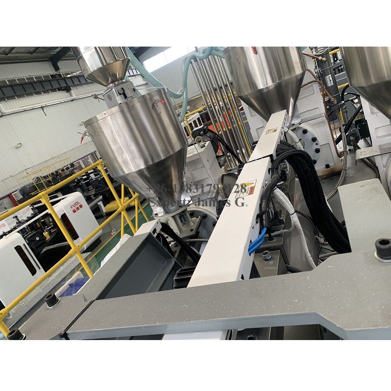 5L Double Cavities High Speed Rotary Blow Molding Machine