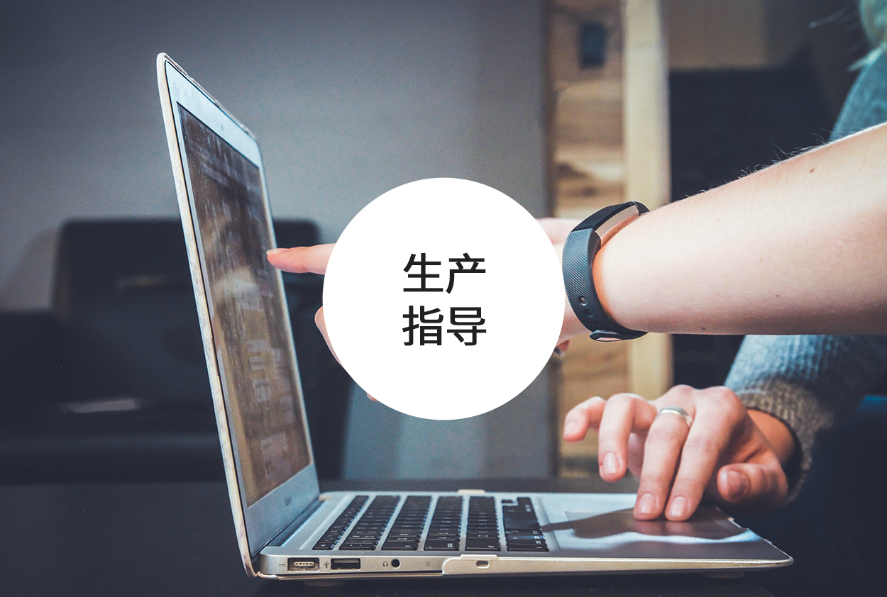 生产指导