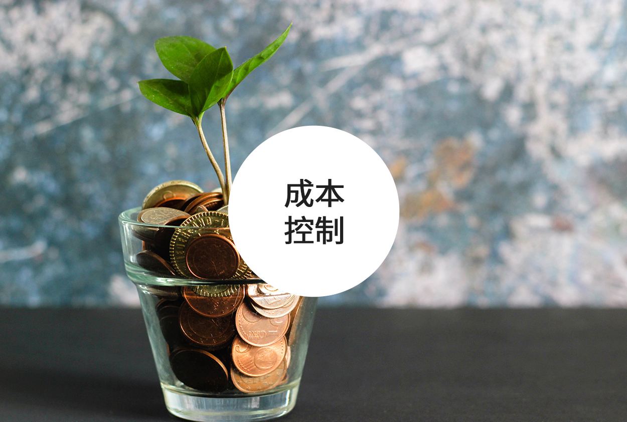 图片展示