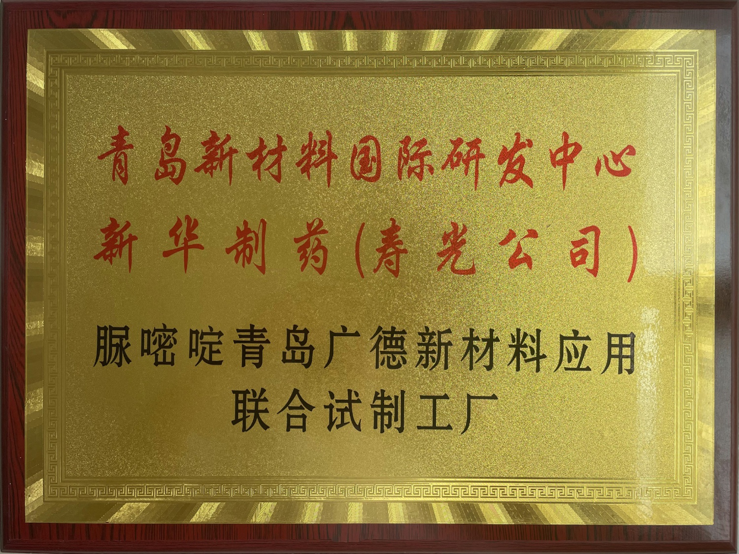 青岛广德新材料联合试制工厂