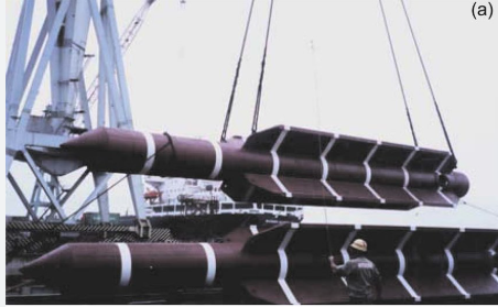 Application of Torpedo Anchor for Floating Offshore Wind Turbines