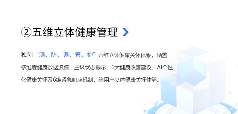 图片展示
