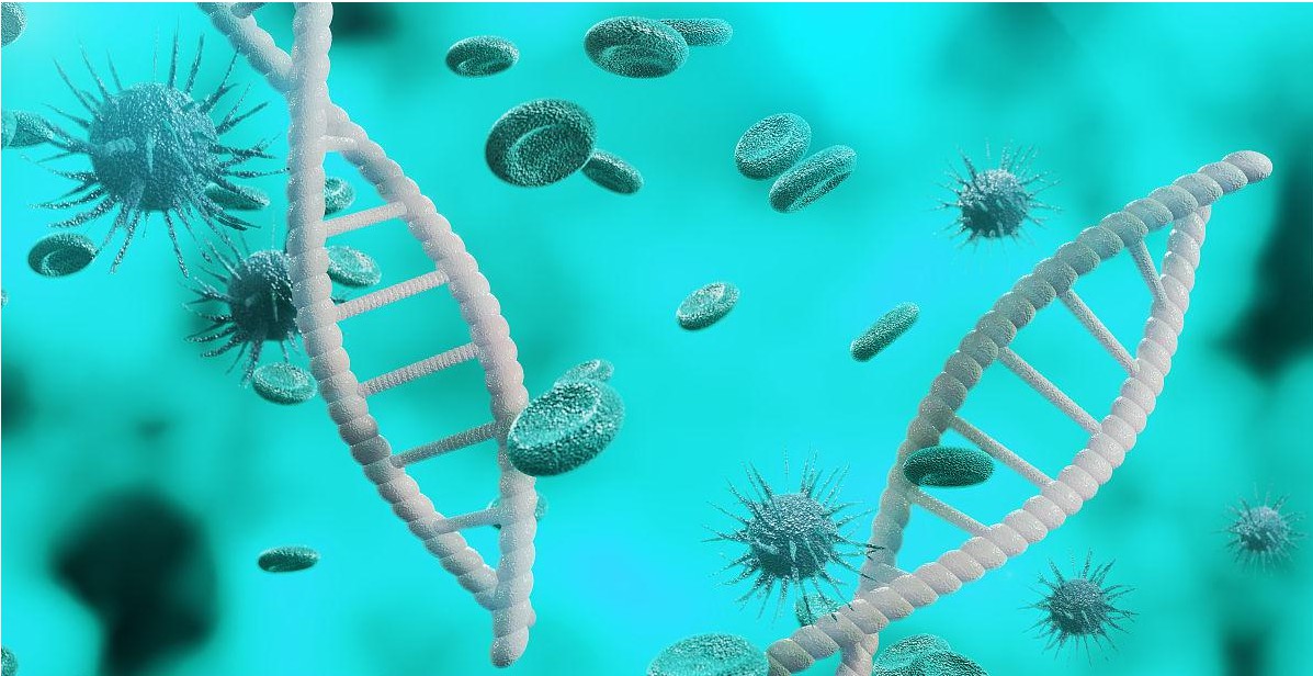 高纯度分子砌块--助力创新多肽药物研发