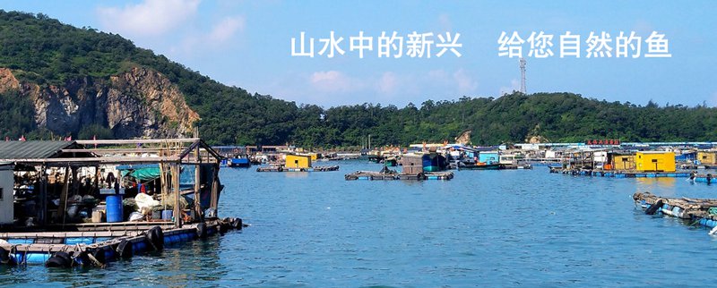 图片展示