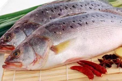 海鲈鱼1