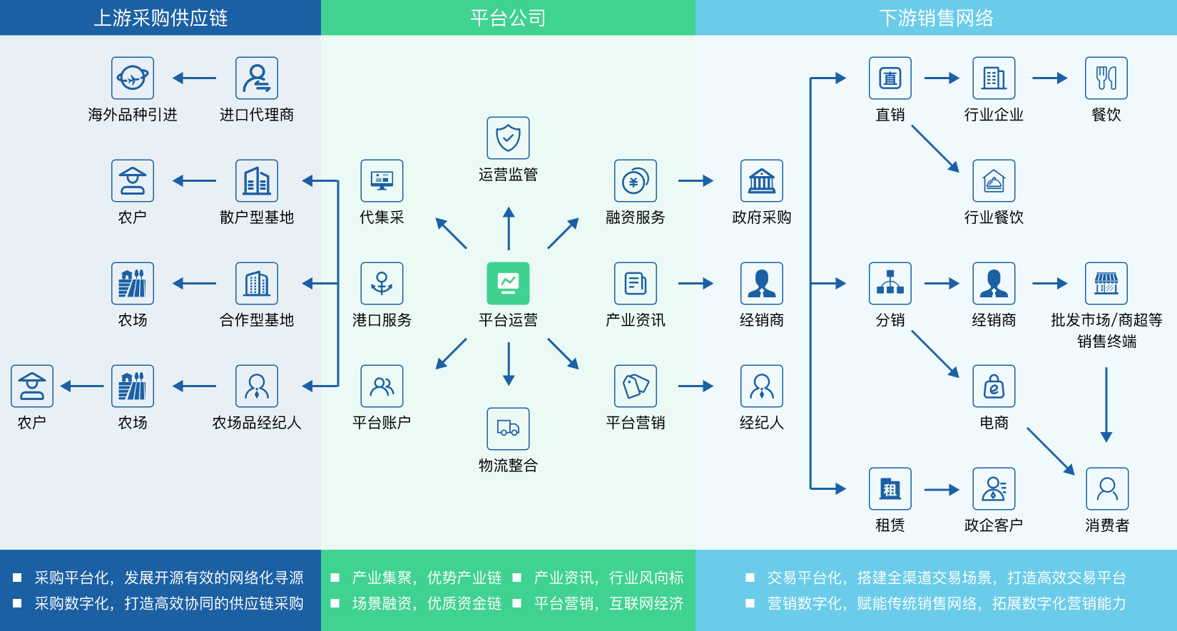 图片展示