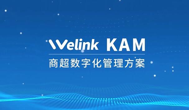 观看视频了解：文沥数字分销 KAM产品