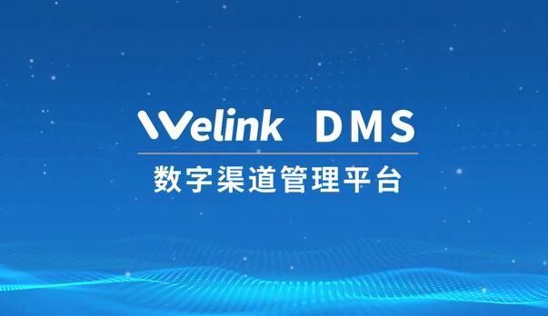 观看视频了解：文沥数字分销 DMS产品