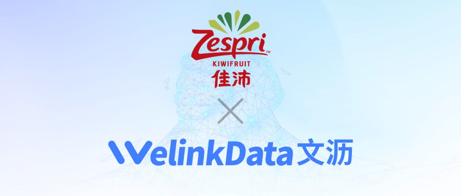 文沥助力Zespri®佳沛新西兰奇异果提升渠道数据整合管理能力