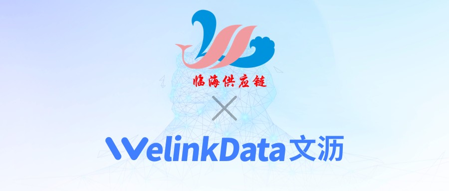 携手发展，共创辉煌|广西自贸区临海供应链有限公司与上海文沥信息技术有限公司达成战略合作