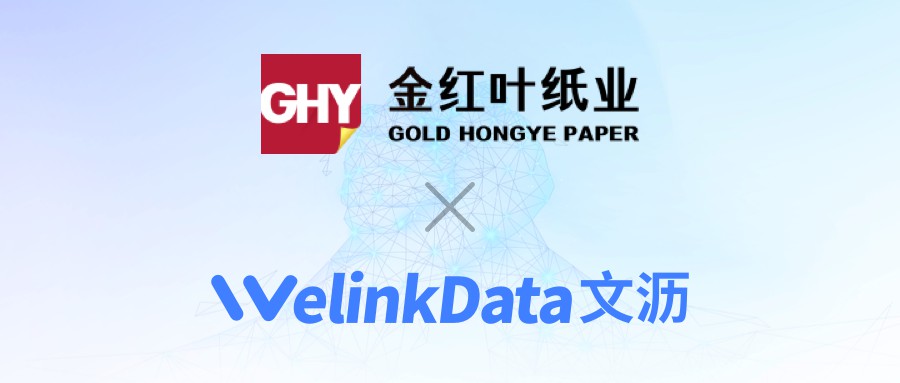 金红叶 & 文沥 | 为金红叶营销DMS项目保驾护航