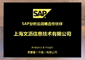 SAP战略合作伙伴