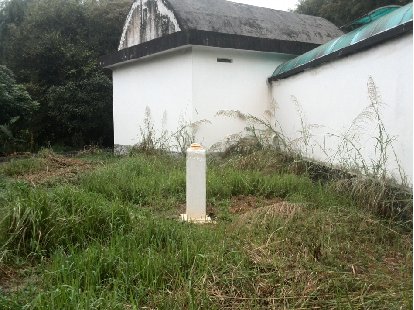 图片展示