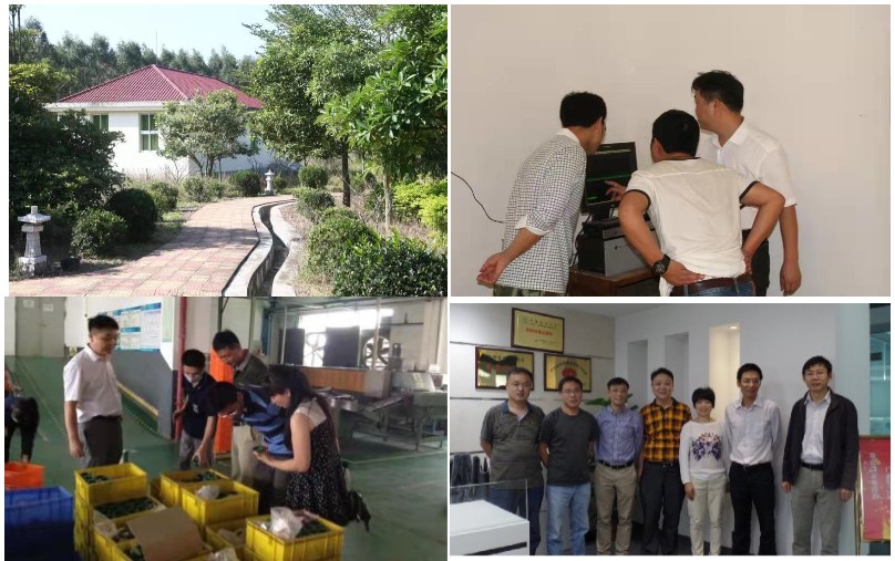 图片展示