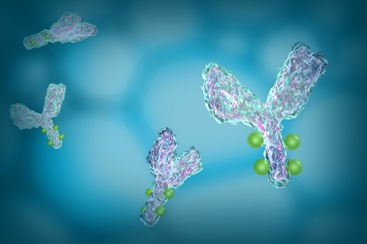 Western Blot中为什么要使用二抗？