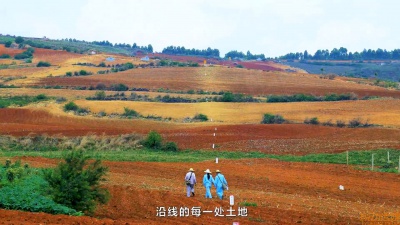 华南中石化 个人颁奖视频