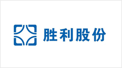 胜利股份