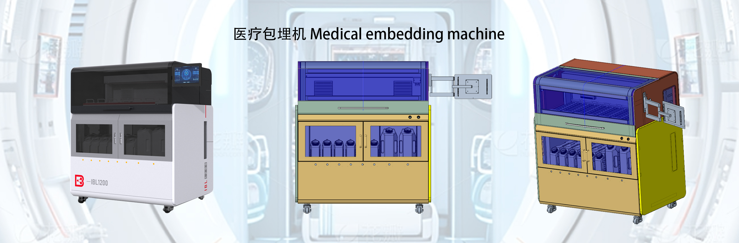 图片展示