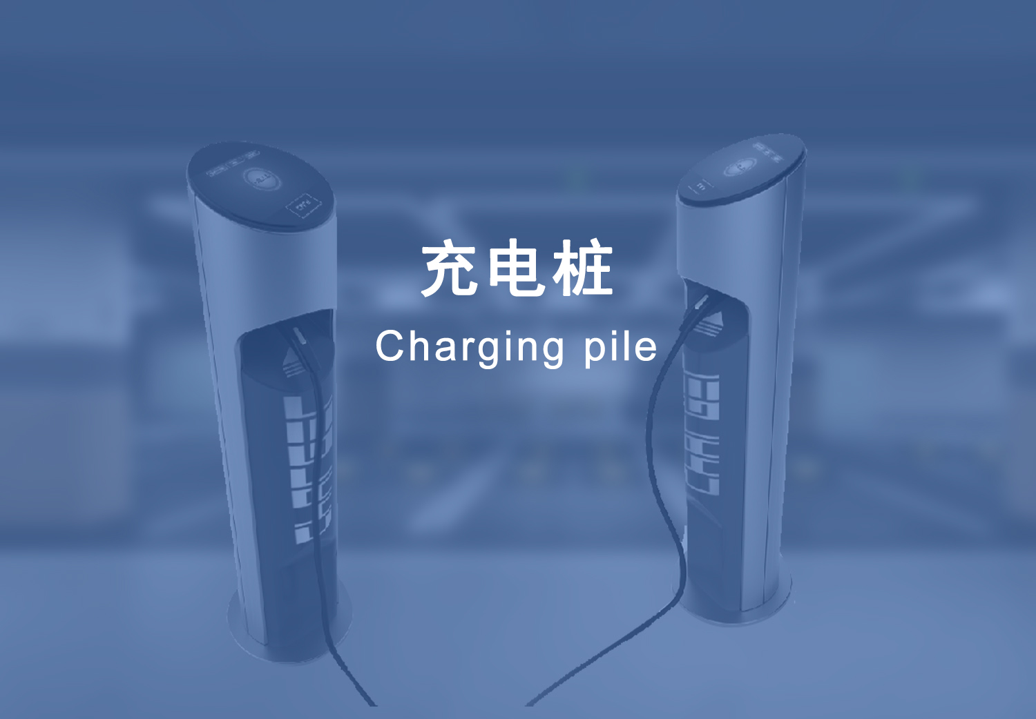 图片展示