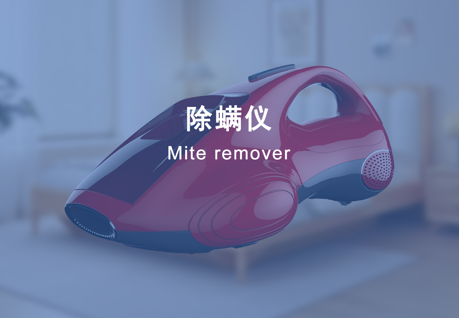 图片展示