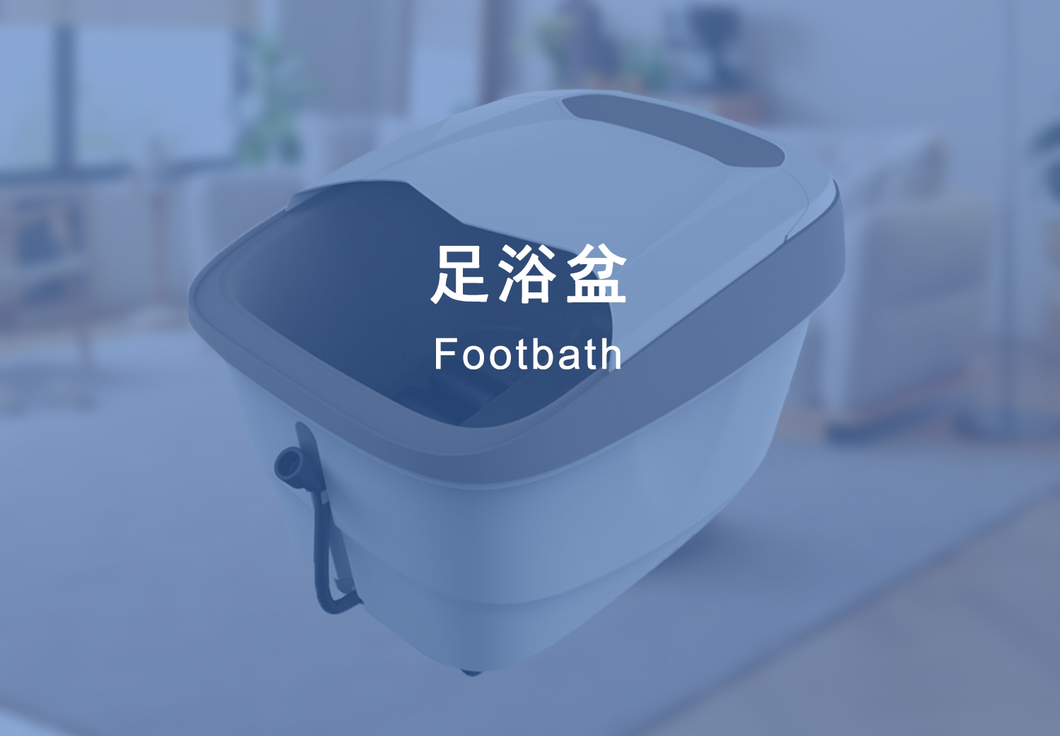 图片展示